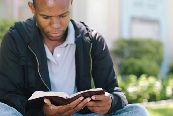 free-bible-study-program